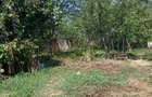 Casă cu 5 camere cu Teren 2500 Mp în Băicoi - 10
