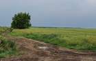 Teren de vanzare Dascalu/Gagu Suprafata 6.3ha Direct Proprietar - 4
