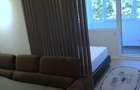 Apartament-Studio decomandat impartit in 2 zone - 7