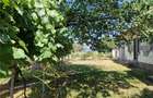 Casă cu 3 camere cu Teren 2000 Mp în Malu Vânăt - 9