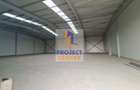 Hala industriala, Bradu, DN 65B - 5