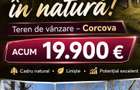 Teren forestier fag stejar veche 100 ani - 2