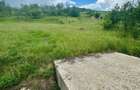 Teren intravilan 4.200 mp | Bunesti, jud. Cluj | Front 40 m la drum e - 3