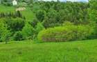 teren extravilan sat pestera jud brasov - 2