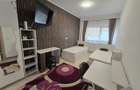 Apartament cu 2 camere, decomandat, Iulius Mall, 60mp, 500 euro - 2