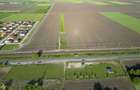 Teren agricol, în Sud - 9