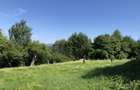 Teren intravilan de vanzare in localitatea Ceahlau 13.000 mp - 3