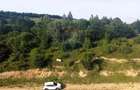 Teren de vanzare in Salicea, 10000 MP , Zona Moara de vant! - 5