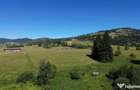 Teren in Bucovina! La Munte! De ! 0727817187 - 5