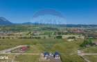 Teren Tohanu Nou, intrare Sohodol, 4800mp - 11