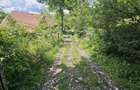 Teren Construcții intravilan de 2500 mp, în Valea Doftanei - 4