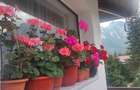 Apartament cu 2 camere semidecomandat în Stadionului - 13