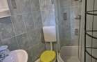 Unirii Mitropolie INCHIRIEZ apartament 2 camere in vila - 7
