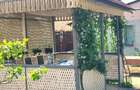 Casa solida, evreiasca , Sacuieni, gradina mare - 1