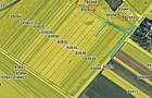 Vand Teren INTRAVILAN 4000mp - Leordeni, Arges - 4