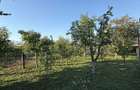 Casa cu 3 camere baie si bucatarie in Cordun - 2