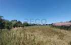 RECO Teren intravilan in Paleu la doar 22euro/mp - 3