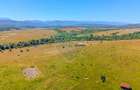 Teren Construcții intravilan de 1690 mp, în Dumbrăvița - 4