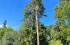 Sinaia - Furnica Urgent - Teren 1200 mp - 5