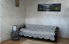 Apartament cu 2 camere semidecomandat în Micălaca - 3