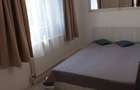 Proprietar, ap de inchiriat, 2 cam decomandate, renovat, central st Roscani 36, zece min pe jos pana la Medicina - 7