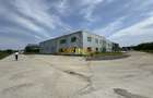 Spațiu industrial, de 417 mp, în Mogoșoaia - 7