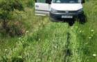 Vanzare inchiriere teren Mihailesti Giurgiu - 5
