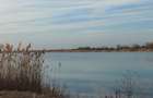 Teren LAC Butimanu - Barbuceanu 19000 m2 deschidere 51m lac - 37m la drum - 6
