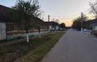 Vand casa in Varadia, Cara?-Severin! - 1