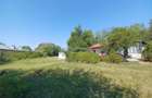Casa Giurgiu Ghimpati- Sat Bila - 8