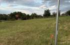 Teren intravilan zona Doja strada Antonio Vivaldi 800 mp - 3