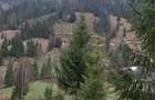Teren la munte, Bucovina