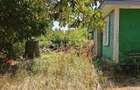 Doua case si 9.300 mp de teren in zona Bogdanesti - 1