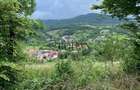 Teren intravilan 5360mp Bistrita Nasaud | Tiha Bârgăului - 4