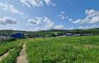 Teren Intravilan Industrial Tomesti - Comision 0%
