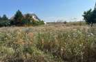 Teren intravilan de vânzare în Costinești – 417 mp, deschidere 20 ml - 10