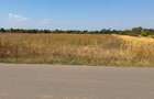 Teren Construcții intravilan de 5000 mp, în Corbeanca - 10