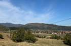 Teren intravilan in Zarnesti (zona Lazuri)