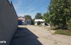 Hala de vanzare, 414 mp, teren 1434 mp, gata de utilizare - 13