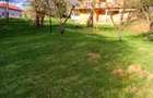 Gospodarie, casa cu 5 camere si 8272 mp teren, in Oarda - 9