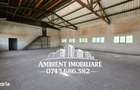 HALA DEPOZITARE sau ATELIER, teren 310 mp, VASLUI - zona Industriala; - 3