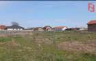 Teren intravilan de 400 mp in Peciu Nou - 3