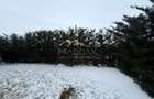 Apartament  Smart tip duplex *155mp* / *111mp* gradina / Aviatiei - 34