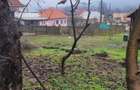 Casa de vanzare la Pesteana-Jiu,intre - 5