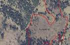 Pasune montana impadurita 16.2 ha - 5