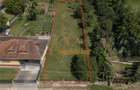 TEREN INTRAVILAN EXTRAVILAN | DE VANZARE | 1200 MP | ROSIA | BIHOR | - 7