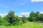 Teren de vanzare in Rachi?i Runcu | 8.500 mp | Utilita?i pe teren - 6