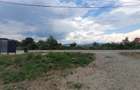 Vanzare Garsoniera pe pamant - 4