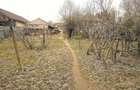 Proprietate de vanzare in inima naturii Gorjene Satul Rasovi?a, Comuna Lele?ti - 9