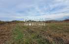 Vanzare teren intravilan, 4967 mp, utilitati, sat Rasova, Balesti - 8